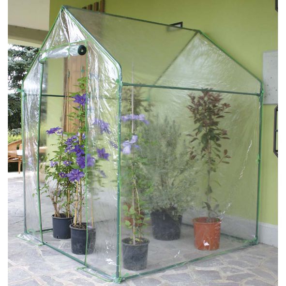 TELO SERRA CLEMATIS 2646