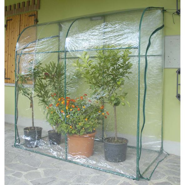 TELO SERRA OLEANDER 2644