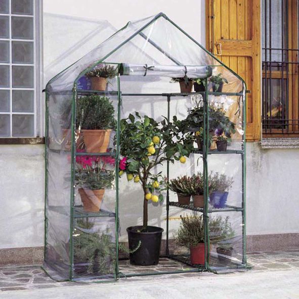 TELO SERRA IBISCUS 8 2516