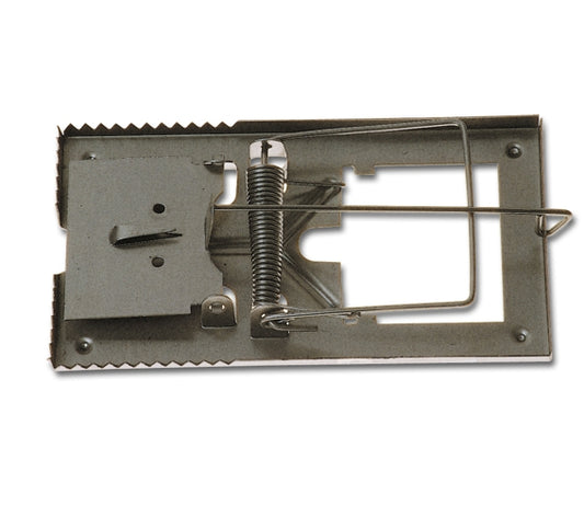 TRAPP KILLER X TOPI PICC.