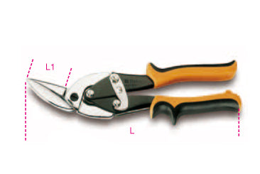 1125 CESOIE TAGLI DIR/DX