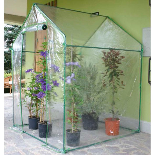 TELO SERRA CLEMATIS   2646